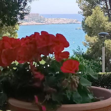 Beach & Flowers Free Parking Salou Zewnętrze zdjęcie